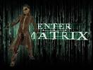 Enter the Matrix Walkthrough - A helpful guide to those in need.