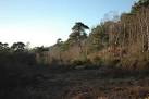 near to Langley, Hampshire, Great Britain. Floating Island valley - via Daymix