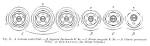 File:<b>Loganiaceae</b> flower diagrams EP-IV2-013.png - Wikimedia Commons
