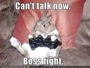 Posted in Funny Pictures | 2