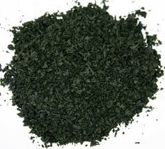 SALVIA