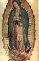 Our Lady of Guadalupe - Wikipedia, the free encyclopedia
