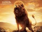 What had happen' was.....: Aslan is Not a Tame Lion: The ...