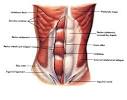 Core Training | The What and The Why of Core Exercises | Body ...