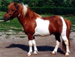 http://t2.gstatic.com/images?q=tbn:ANd9GcQH-w2DEYoxf8whpwopuG5dWxbCVDPYs9wLS7ntVHk5LvNfVZEEAg