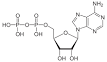 Adenosine diphosphate - Wikipedia, the free encyclopedia