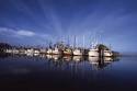 Fresh Local Seafood Business Listing | Apalachicola Bay Chamber of ...