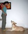 Dog training - Wikipedia, the free encyclopedia