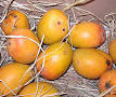 Alphonso (mango) - Wikipedia, the free encyclopedia