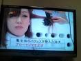 SMの女王様？