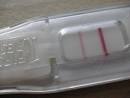 Double X Science: Pregnancy 101: The science behind the wand of ...