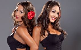 اكبر مكتبة صور bella twins صوررررررررر حلللللووووووووه Images?q=tbn:ANd9GcQHoU7Mv6kU0aIy5B1tPb1rFU9a64AcygIxLeVZUHYWdP7Jc4Lh