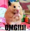 OMG - MEMES, Funny Pictures, MEME and LOL