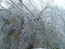 Ice Storms and Freezing Rain | Welcome - Southeast Regional ...
