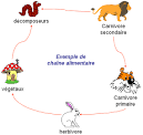 Sciences41 - Sciences on cherche !