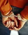 Roles of Criminal Law Criminal Justice 209