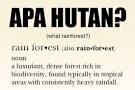 What Rainforest?