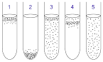 File:Anaerobic.png - Wikipedia, the free encyclopedia