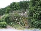 near Dolgoch, Powys - via Daymix