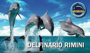 RIMINI Delfinario