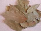 A Hint of Spice: Know Your Bay Leaves