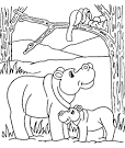 Hippopotamus coloring page