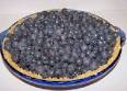 How to make the world's best blueberry pie! EASY and illustrated ...
