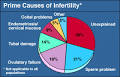 Prime causes of <b>infertility</b>.
