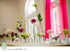 San Francisco Wedding Planner    2009    January