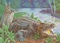 http://static.ddmcdn.com/gif/willow/alligator-info0.gif