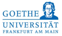 Anja Habersetzer - Institut für Theoretische Physik, Goethe-