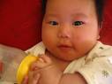 2011年度にゃんこ一家予防