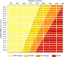 BMI Calculator Plus: Personalized BMI for Your Body Type and ...