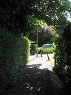 SU7423 : Path from the town centre to the circulatory system - via Daymix