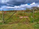 NX2158 : Metal Gate - via Daymix