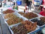 File:Insect food stall.JPG - Wikipedia, the free encyclopedia