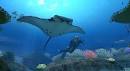 Deep Sea Diving