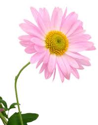 images?q=tbn:ANd9GcQLBt3WNjcd4Tvqjke9RkNzPaLg7VONMqeZ6ItfOTfW8Vuur6kWqg Marian MALCIU - "Sunt…" (poem)