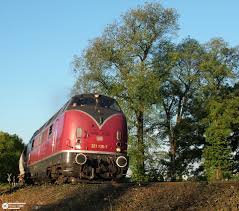 221 135 auf der Angertalbahn - Bild \u0026amp; Foto von Bernd Bastisch aus ...