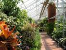 ornamental plants, - via Daymix
