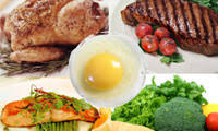 تغذیه در ورزش والیبال