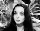 Morticia-addams-addams-family-