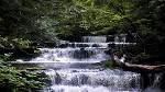 File:Christman Sanctuary, Stream.jpg - Wikimedia Commons