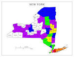 10,000 Birds | County Listing Map