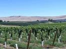 American Feasts Sustainable Food Blog   Timely food news fun