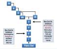 New oral <b>anticoagulants</b> in