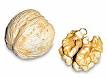 Nut (fruit) - Wikipedia, the free encyclopedia