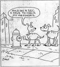 Humor