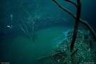 The Amazing Underwater River in Cenote Angelita, Mexico | Crystal ...