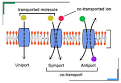 Cell Membranes
